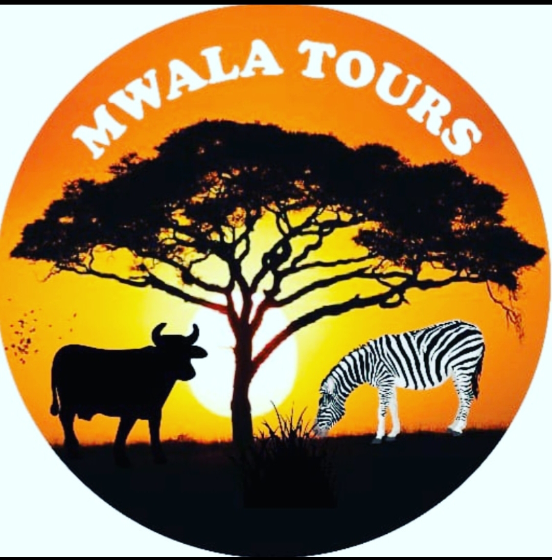 Mwala Tours Logo